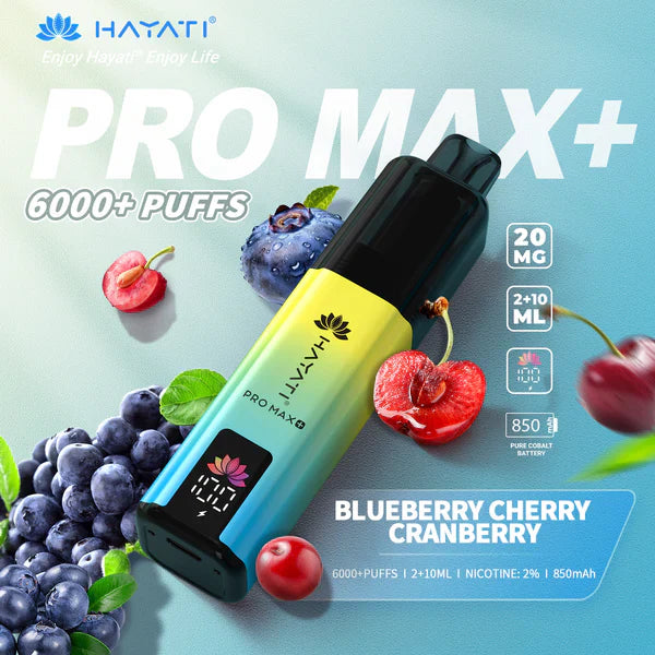 Hayati Pro Max Plus 6000 Puffs Disposable Vape
