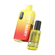 Lost Mary BM6000 Prefilled Pod Kit