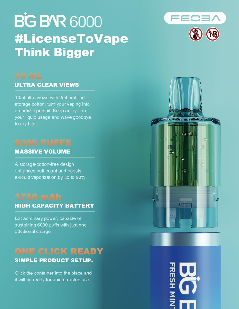 Feoba Big Bar 6000 Puffs  