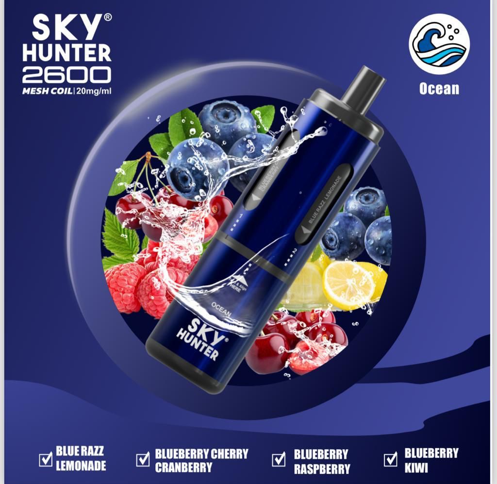 4 in 1 Sky Hunter 2600 disp  