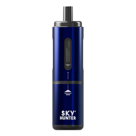 4 in 1 Sky Hunter 2600 disp  