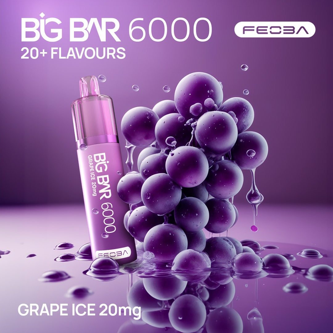 Feoba Big Bar 6000 Puffs  