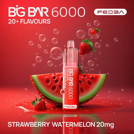 Feoba Big Bar 6000 Puffs (Box of 5)  