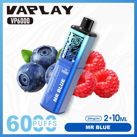 Vaplay VP6000 Puffs Disposable Vape  