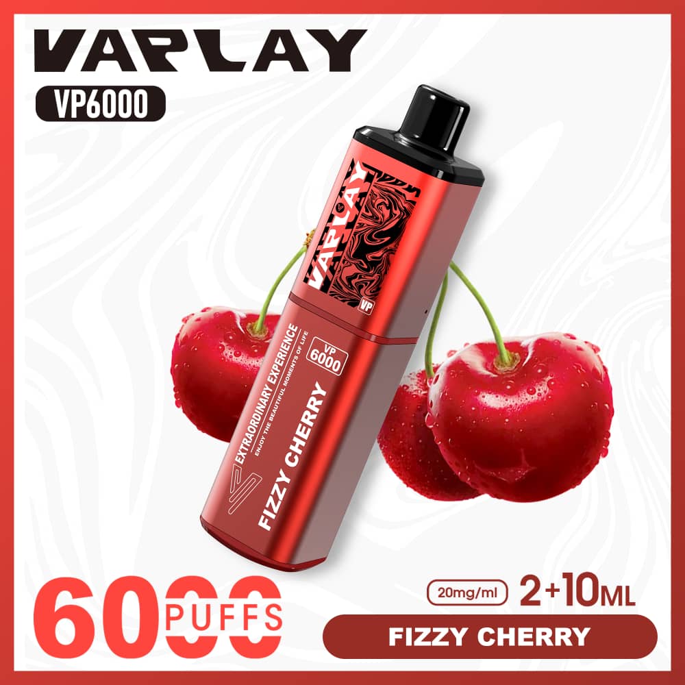 Vaplay VP6000 Puffs Disposable Vape (Box of 5)  