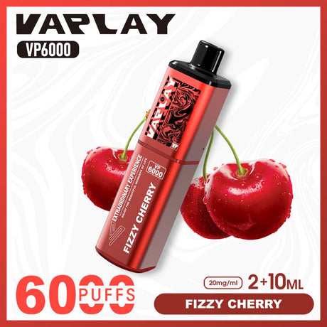 Vaplay VP6000 Puffs Disposable Vape (Box of 5)  