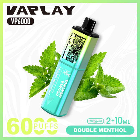 Vaplay VP6000 Puffs Disposable Vape  