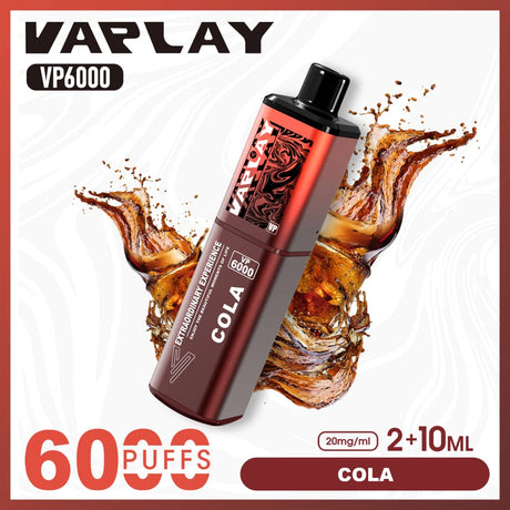 Vaplay VP6000 Puffs Disposable Vape  