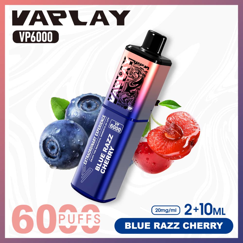 Vaplay VP6000 Puffs Disposable Vape  