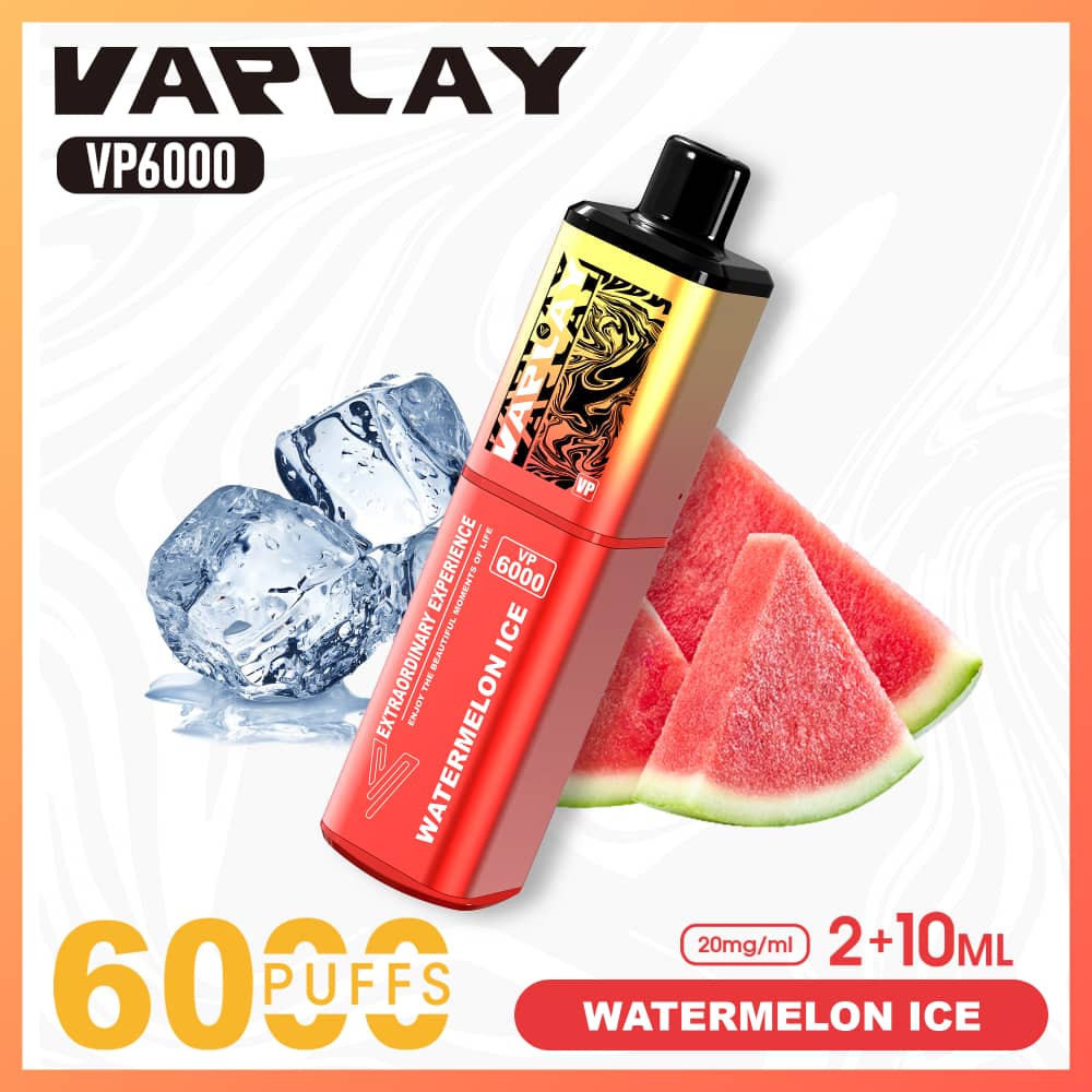 Vaplay VP6000 Puffs Disposable Vape  