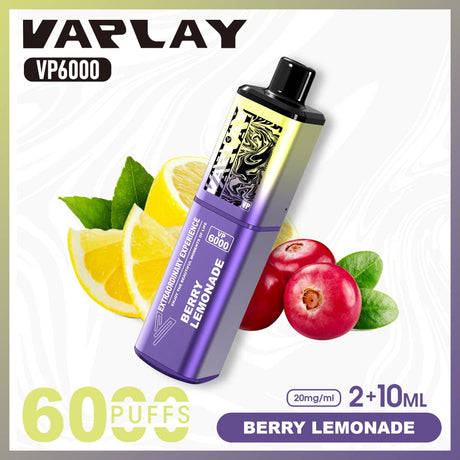 Vaplay VP6000 Puffs Disposable Vape  