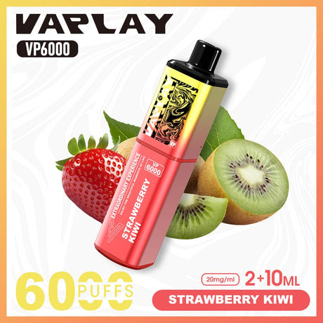 Vaplay VP6000 Puffs Disposable Vape  