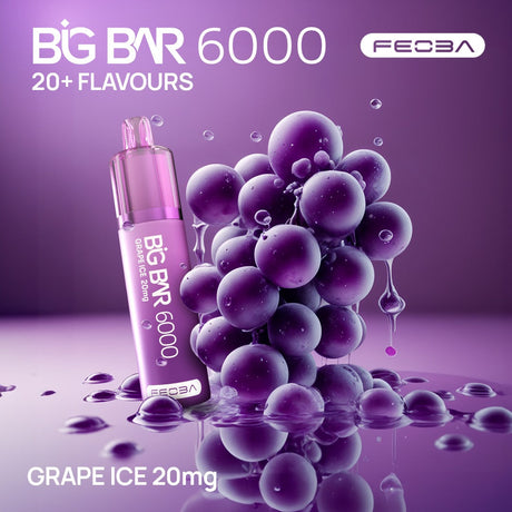 Feoba Big Bar 6000 Puffs (Box of 5)  