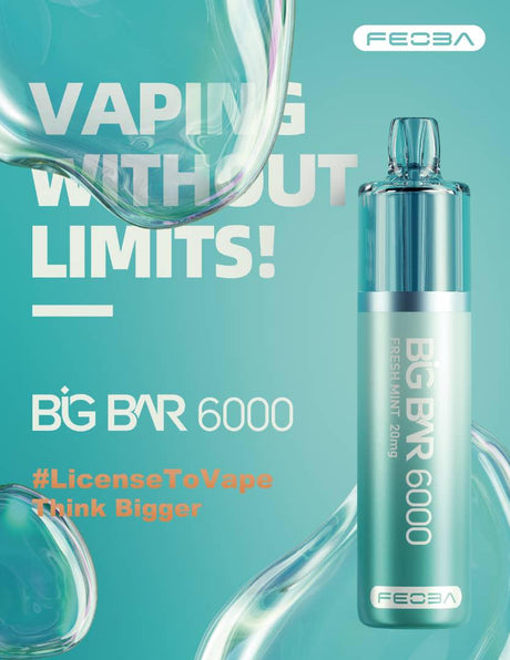 Feoba Big Bar 6000 Puffs  