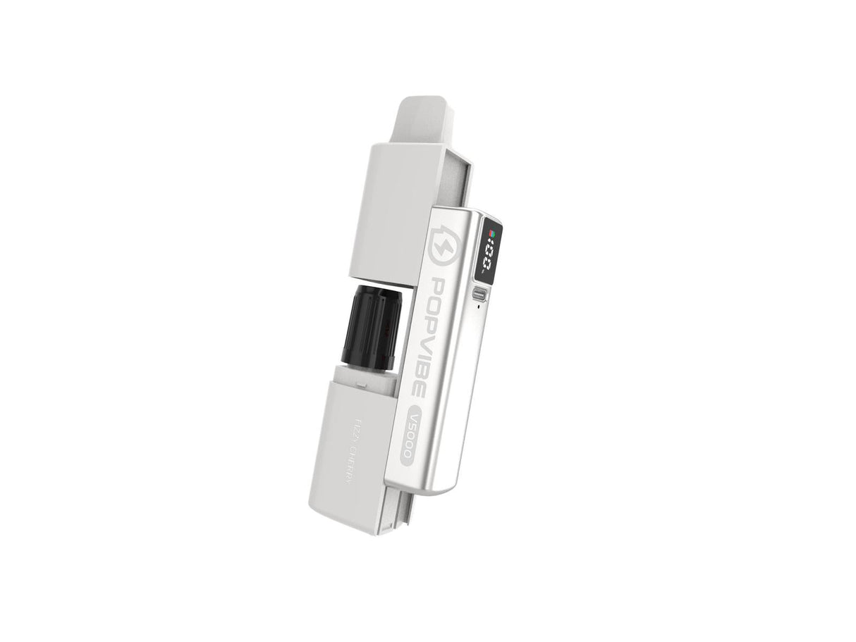 Geekvape Popvibe V5000 Disposable Pod Vape Kit (Box of 5)  