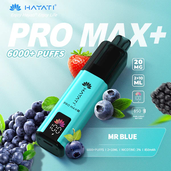 Hayati Pro Max+ 6000 Puffs Disposable Vape  