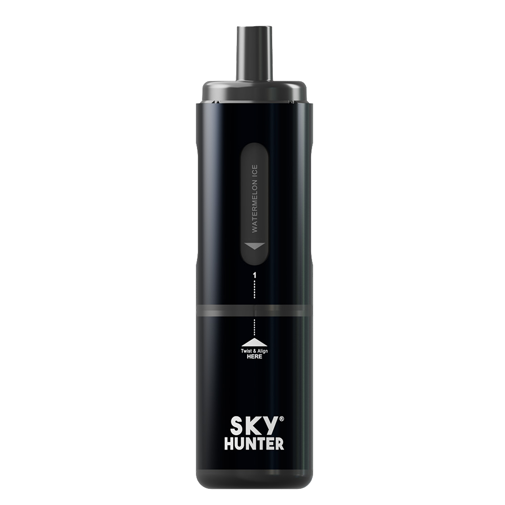 4 in 1 Sky Hunter 2600 Box of 5  