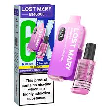 LOST MARY BM6000 DISPOSABLE VAPE  