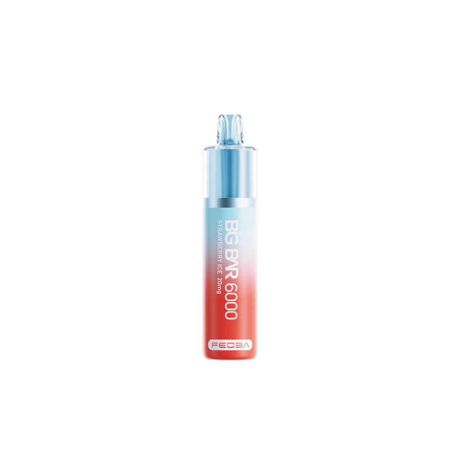 Feoba Big Bar 6000 Puffs  