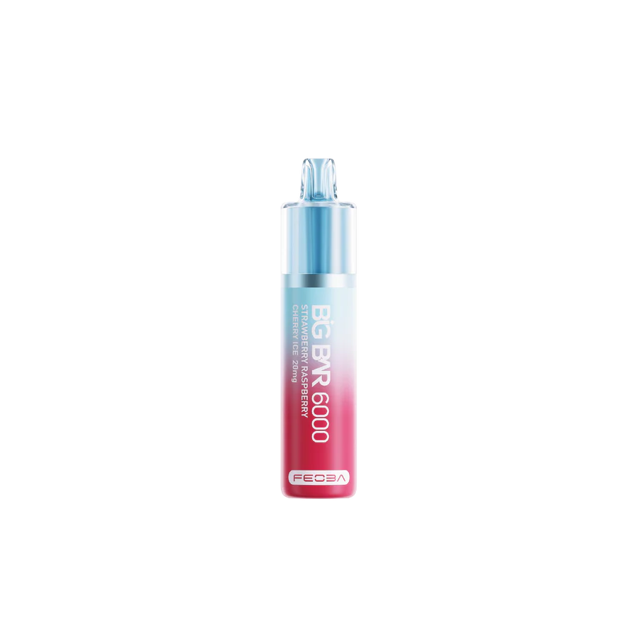 Feoba Big Bar 6000 Puffs  