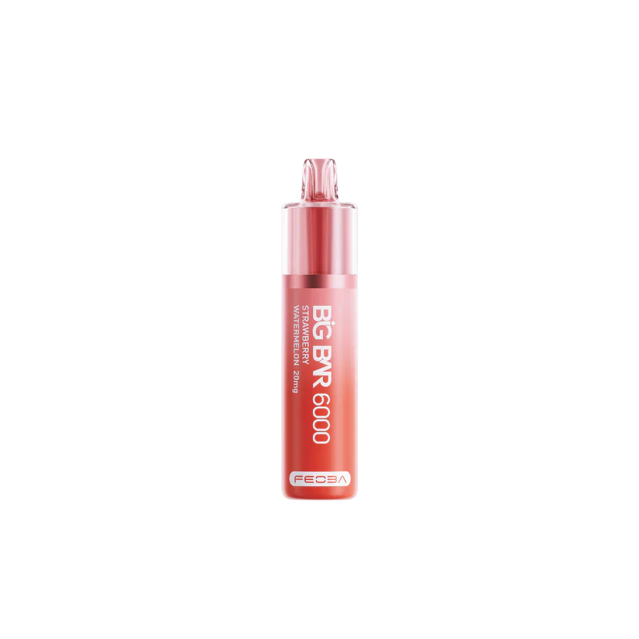 Feoba Big Bar 6000 Puffs  